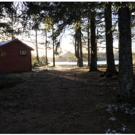 Cabin In The Woods, Lolandsvannet Near Kristiansand Vennesla Екстериор снимка