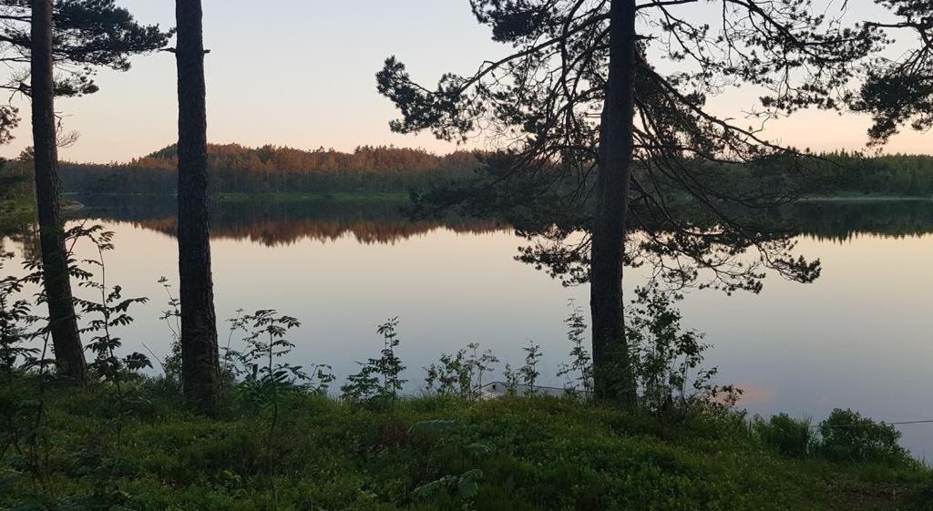 Cabin In The Woods, Lolandsvannet Near Kristiansand Vennesla Екстериор снимка