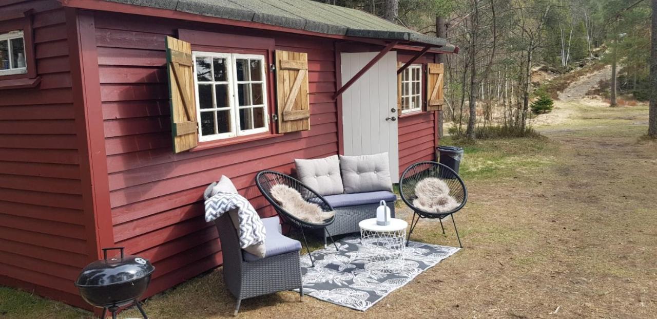 Cabin In The Woods, Lolandsvannet Near Kristiansand Vennesla Екстериор снимка