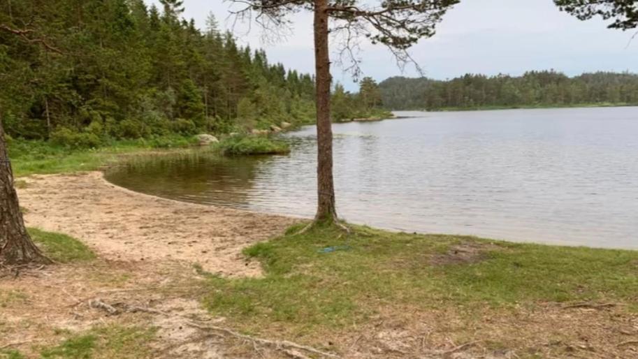 Cabin In The Woods, Lolandsvannet Near Kristiansand Vennesla Екстериор снимка