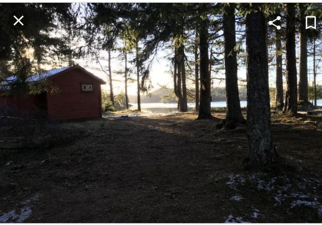 Cabin In The Woods, Lolandsvannet Near Kristiansand Vennesla Екстериор снимка
